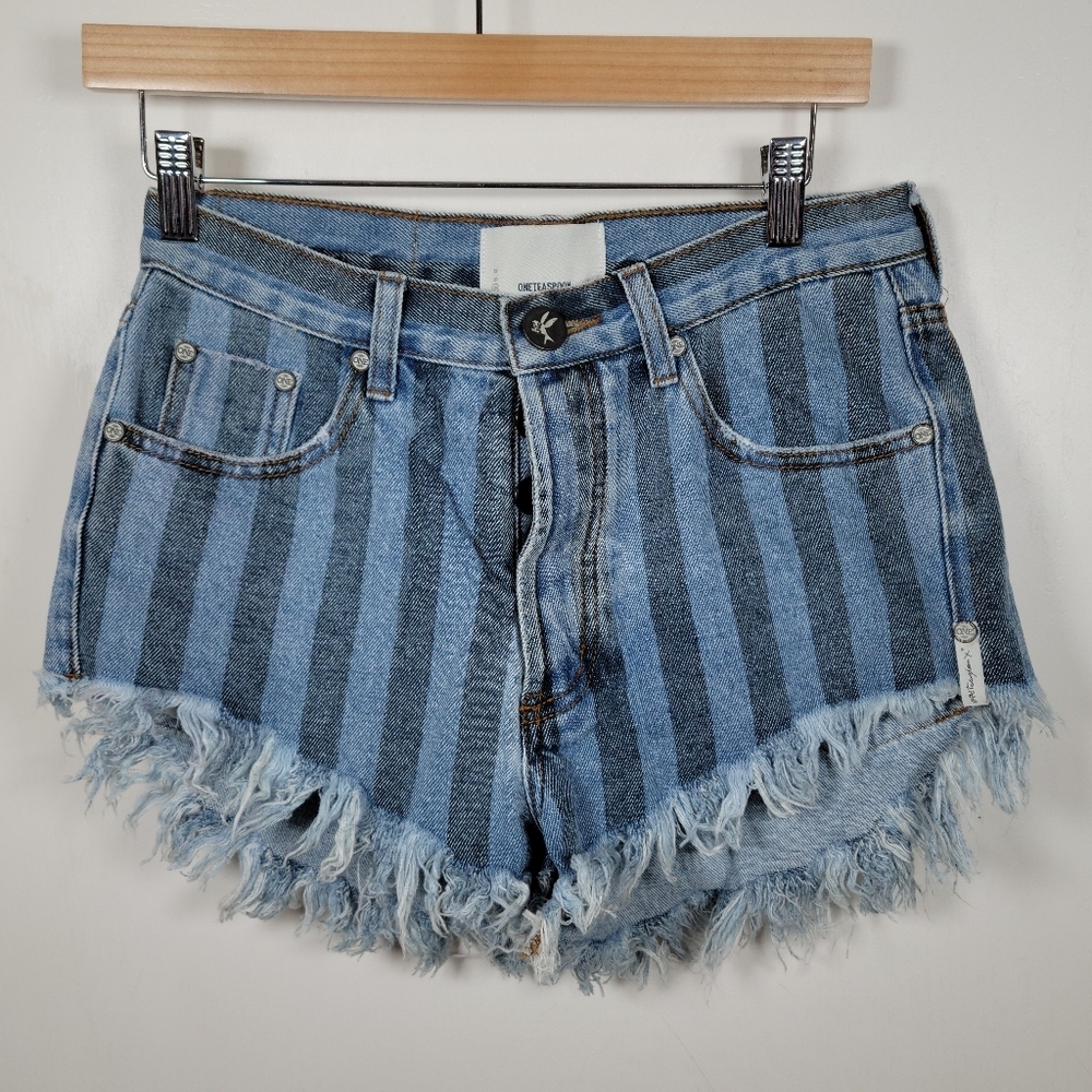 One Teaspoon Zephyr Outlaws Button Fly Pinstripe Shorts Size 24